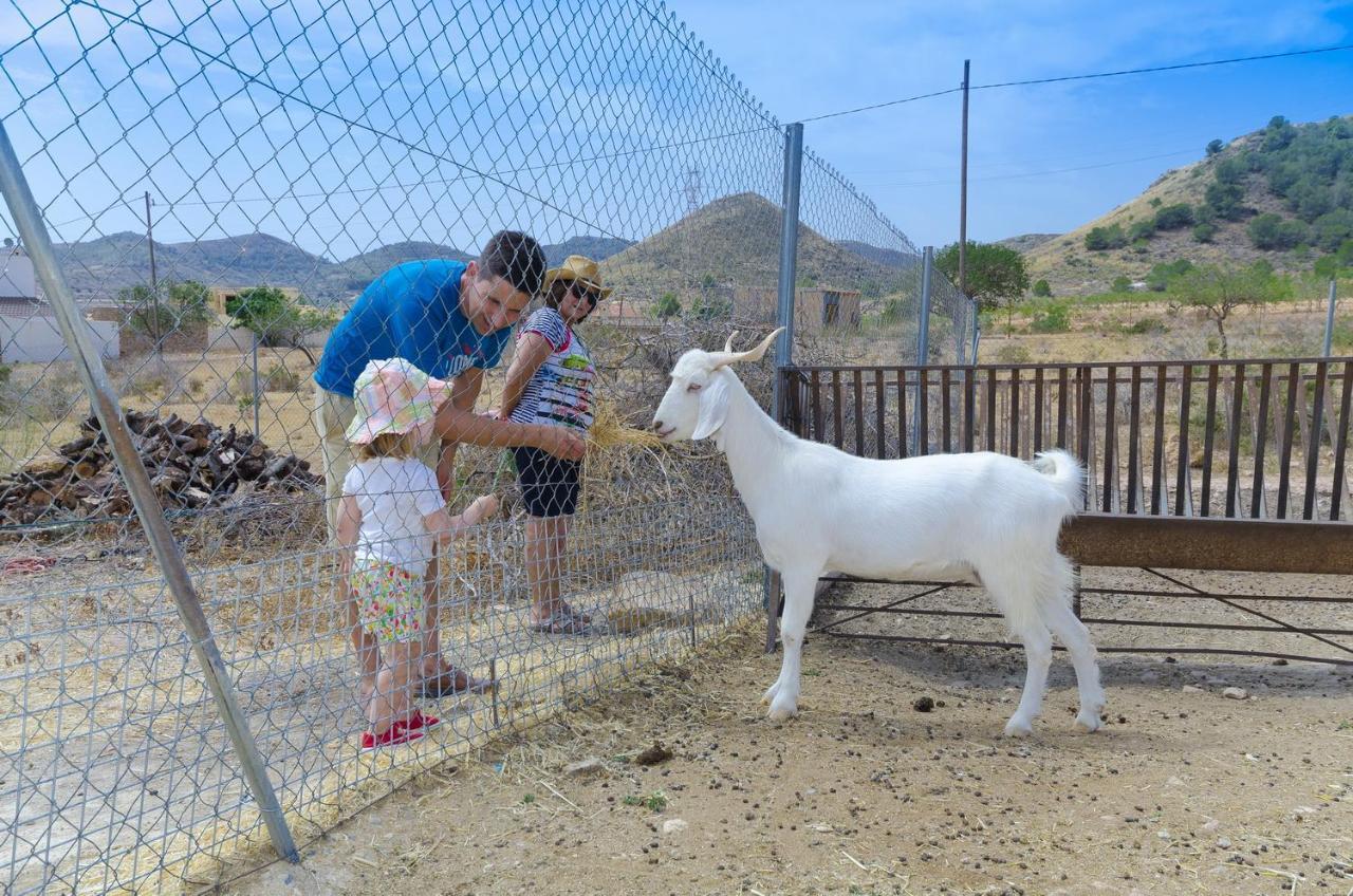Finca Liarte Pensionat Fuente Alamo  Eksteriør billede